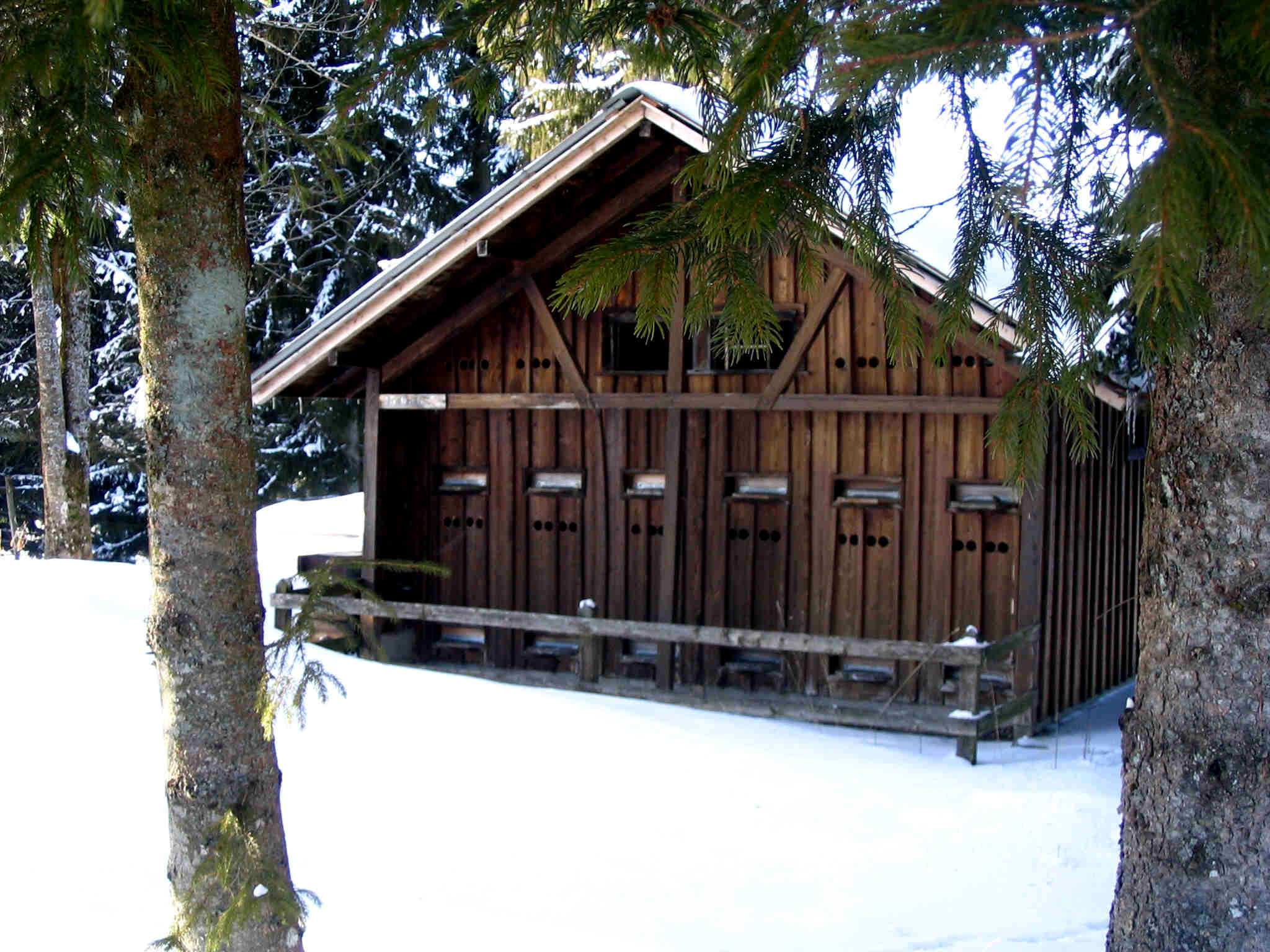 chalet