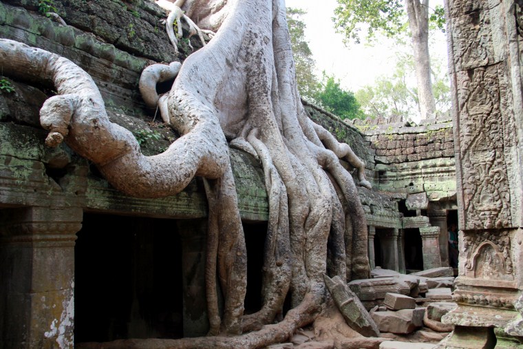 cambodge
