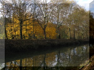 chemin de halage  Roche lez Beaupr