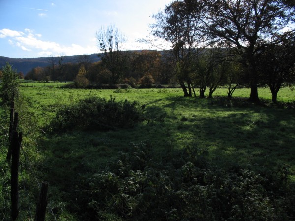 chemin de halage