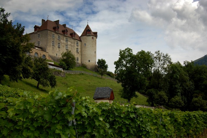gruyere