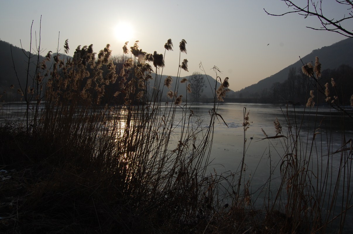 hiver