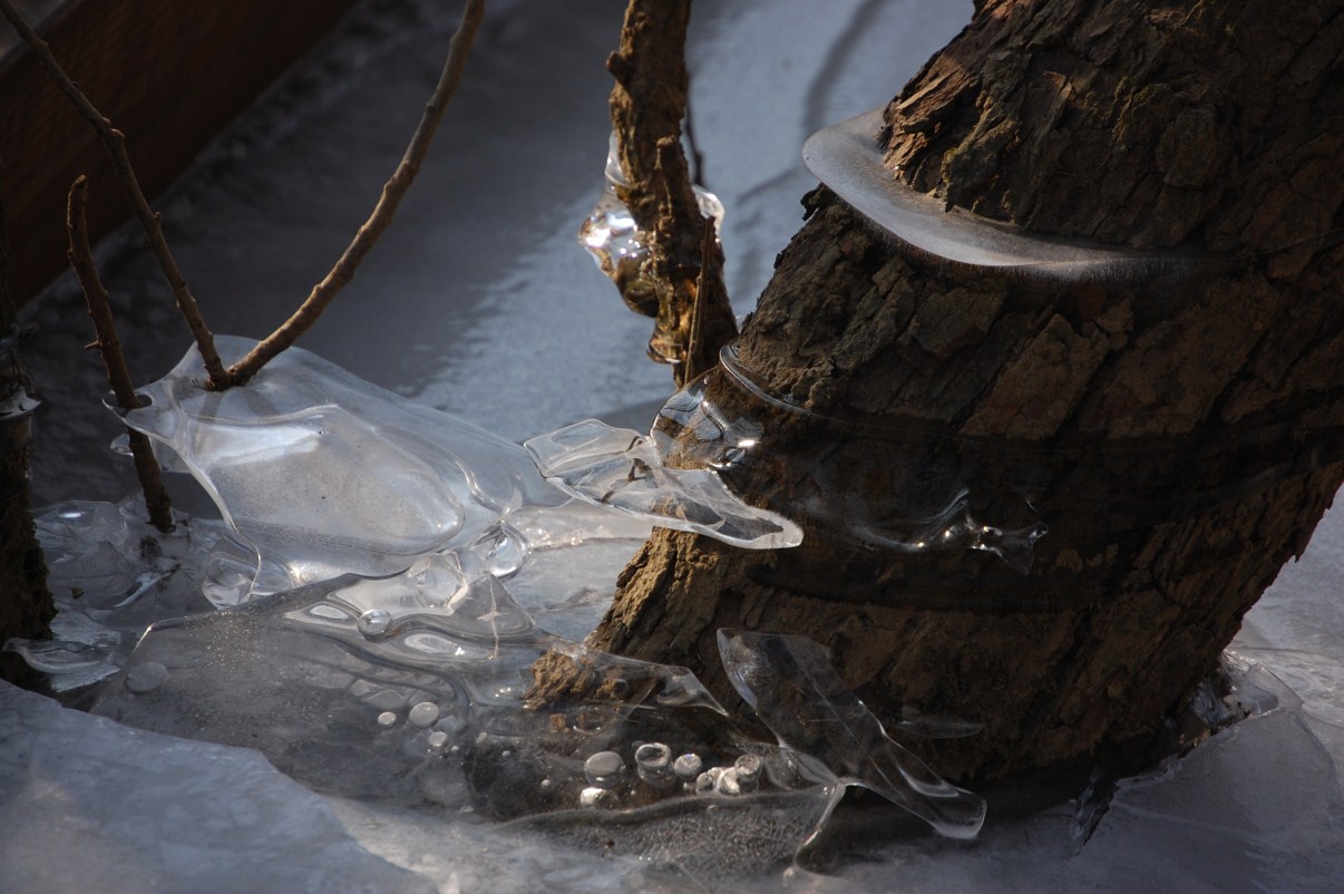 hiver