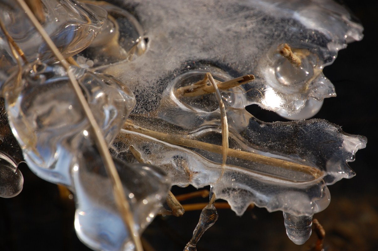 hiver