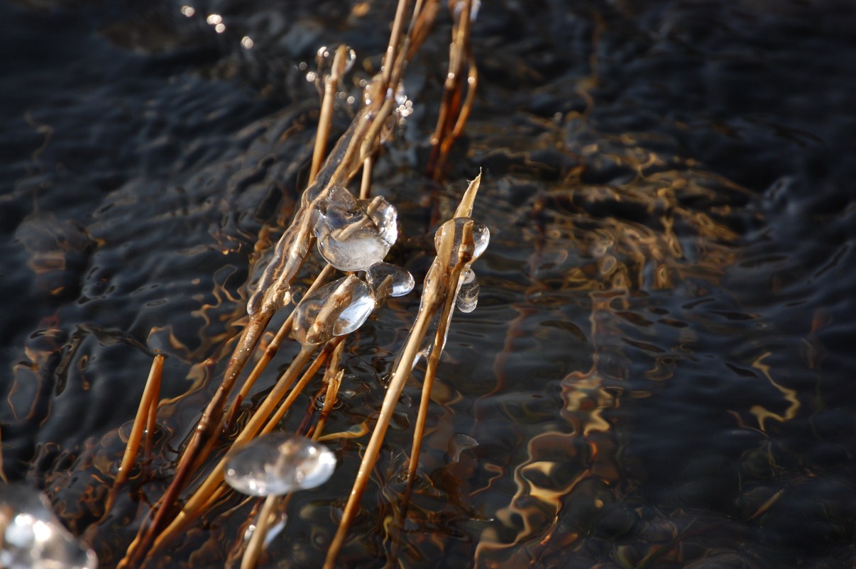 hiver