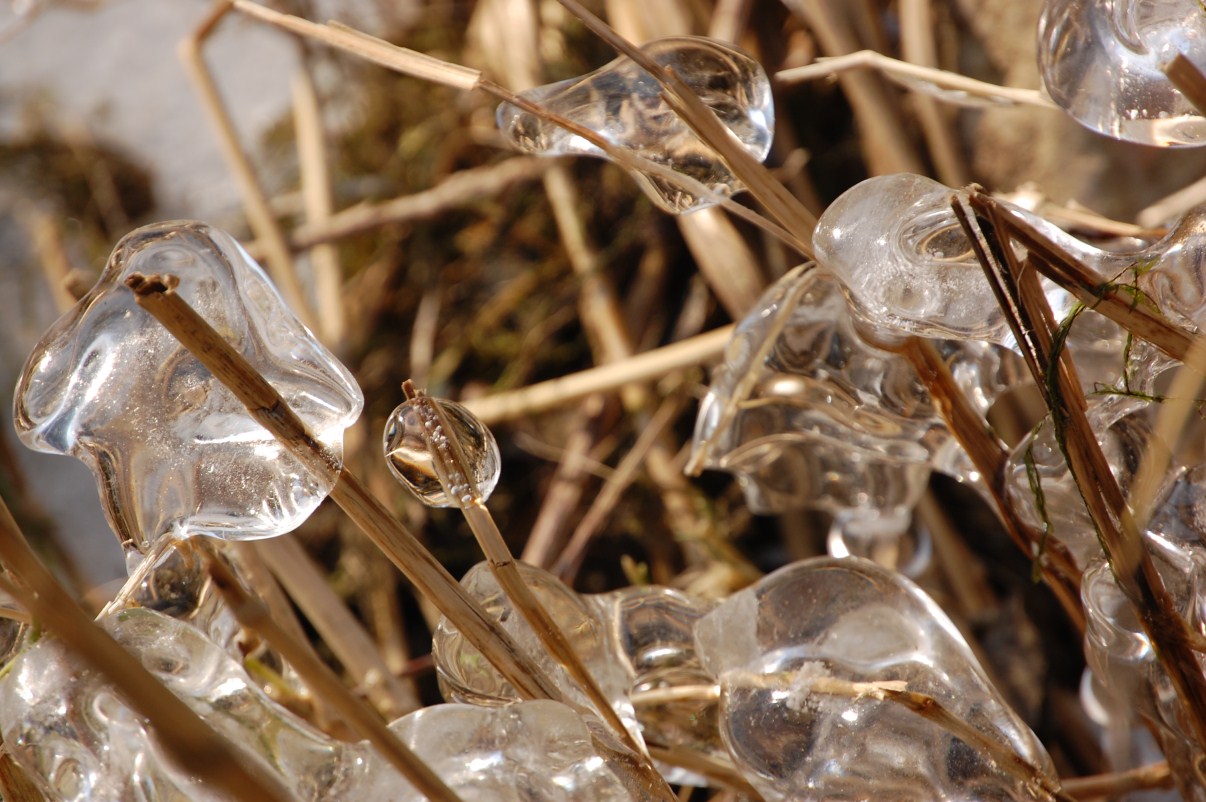 hiver