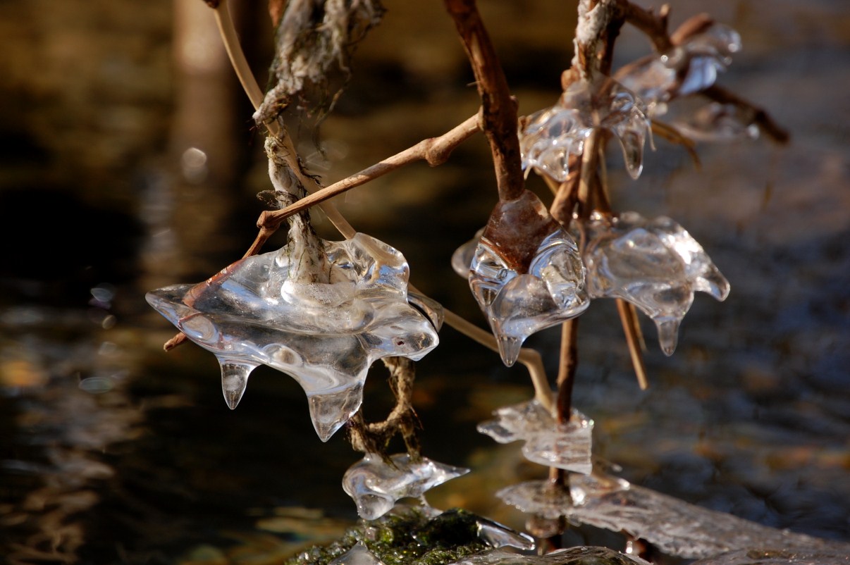 hiver