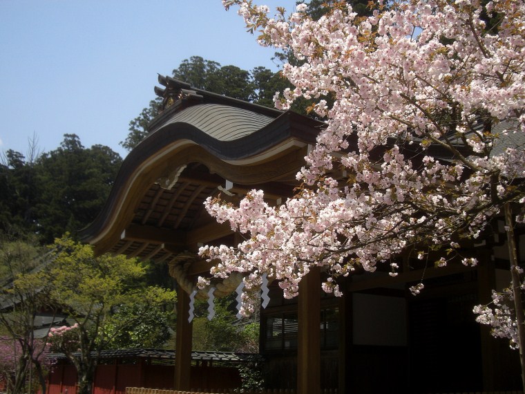 japon