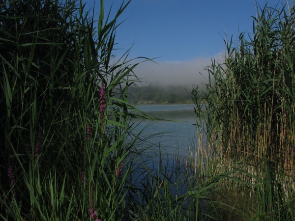 lac de Clairvaux
