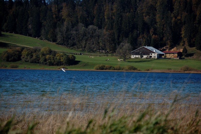 jura