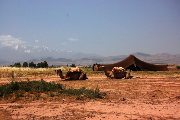 maroc
