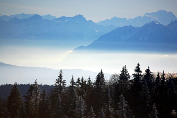 mont d'or