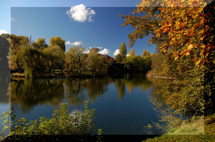 Parc Micaud  Besanon ; couleurs automne