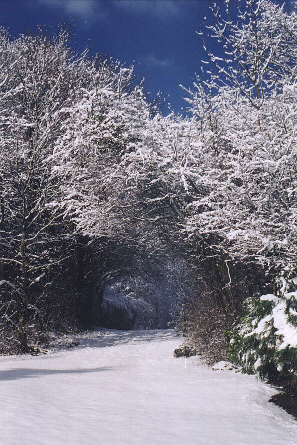 hiver