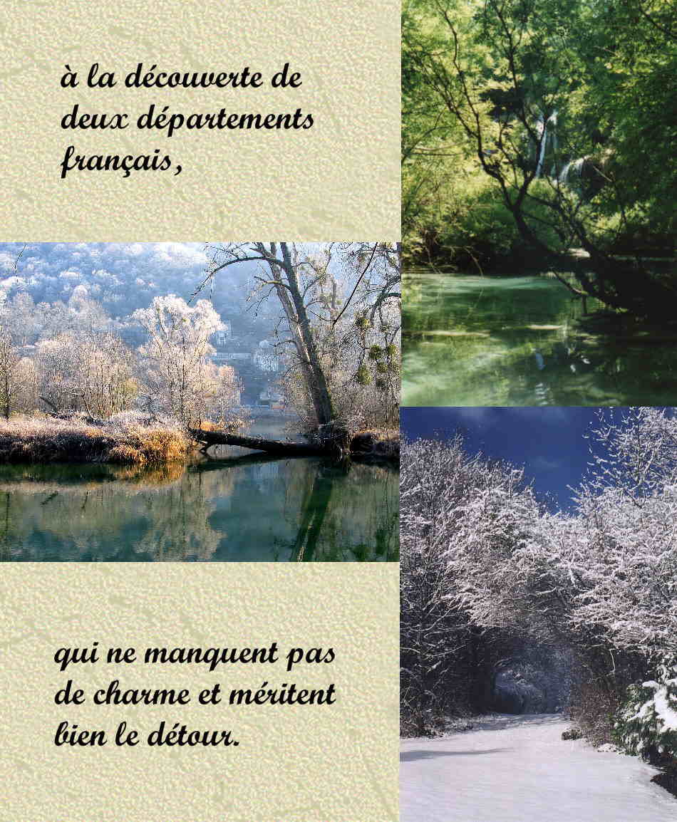 photo accueil