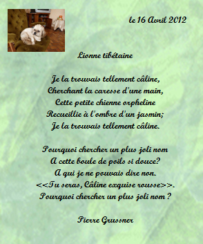 lionne tibtaine