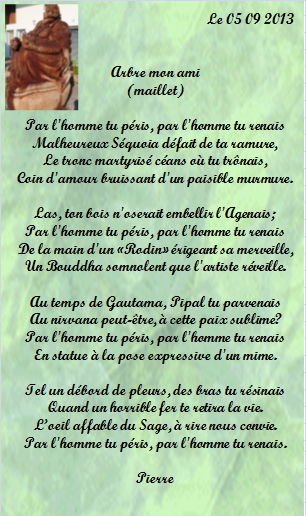 arbre mon ami