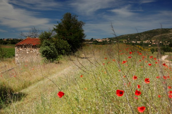 provence