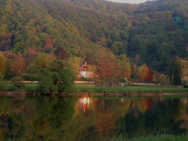 roche
