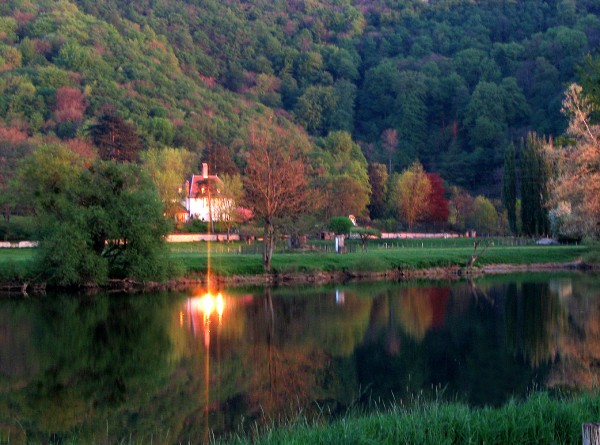 roche