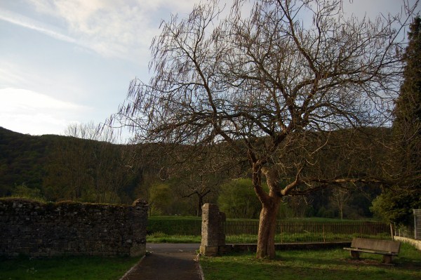 roche