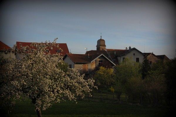 roche
