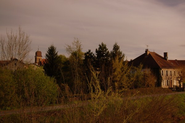 roche