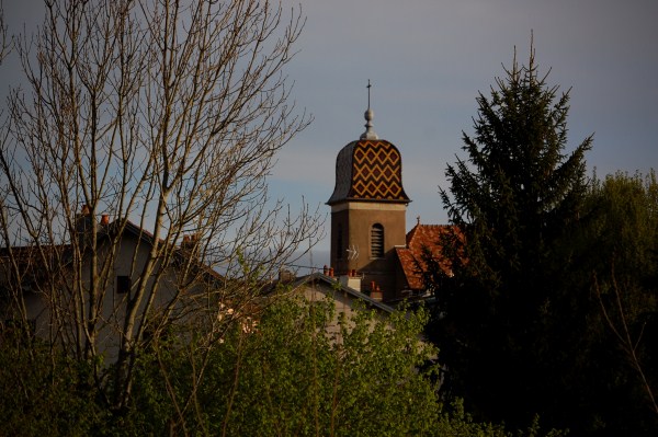 roche