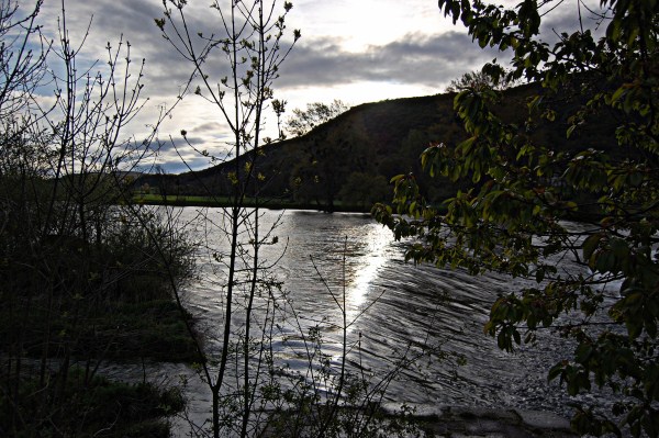 roche