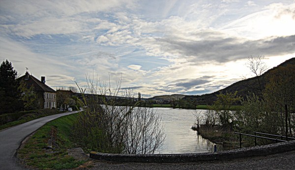 roche