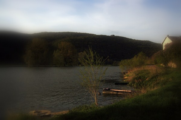 roche
