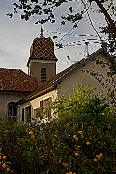 roche