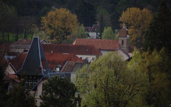 roche