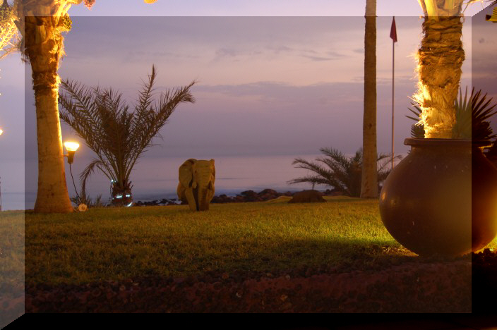 Htel Royal Baobab