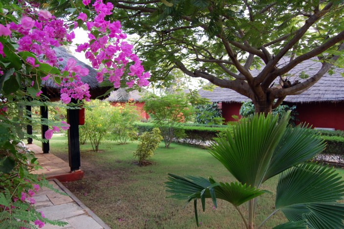le jardin