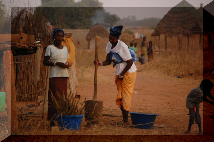 Voyage en calche dans la brousse