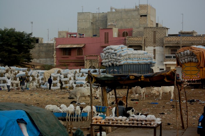 dakar