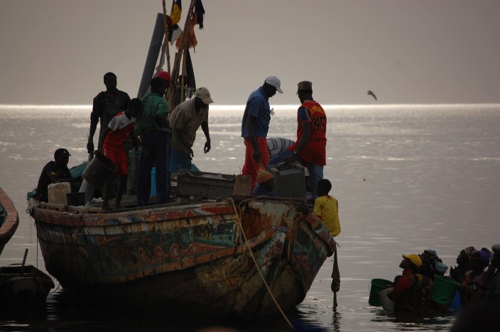 sine saloum