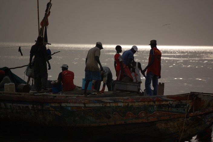 sine saloum