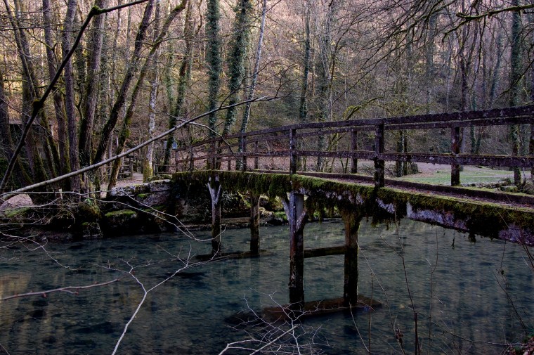 lison