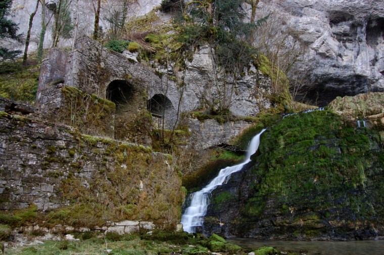 lison