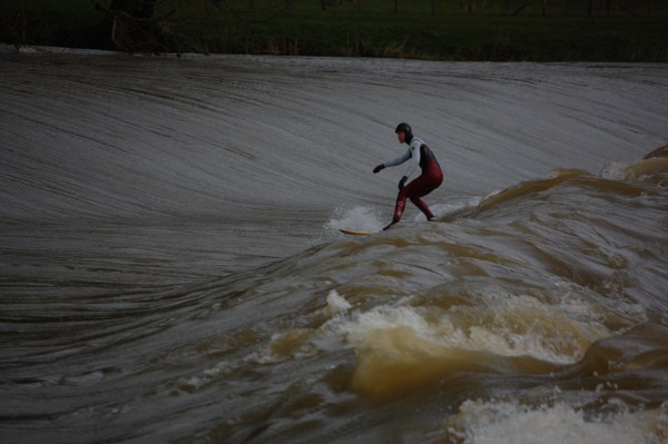 surf