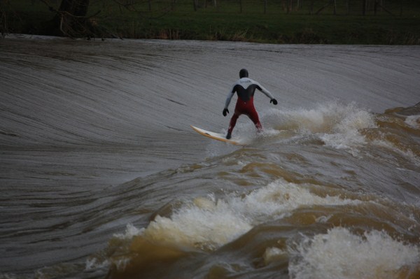 surf