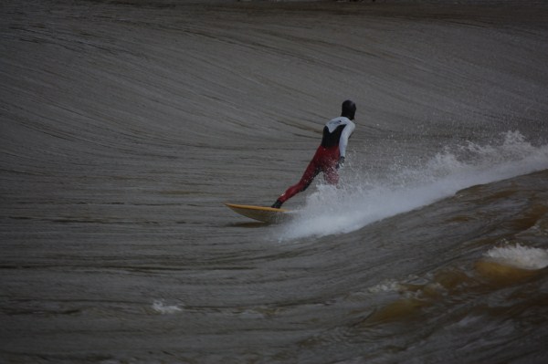 surf