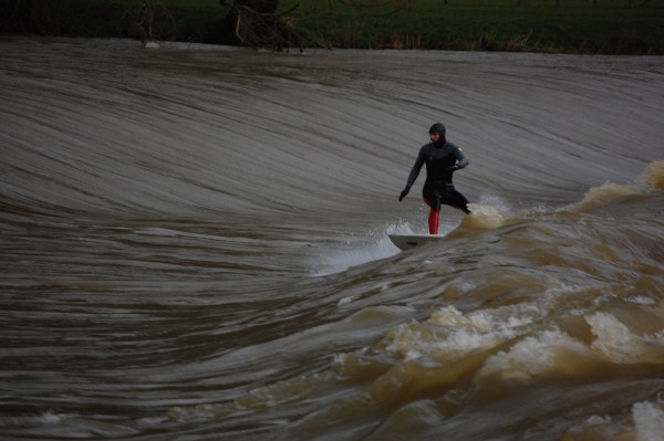 surf