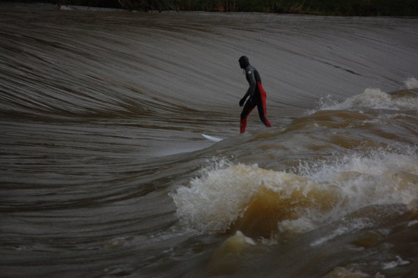 surf