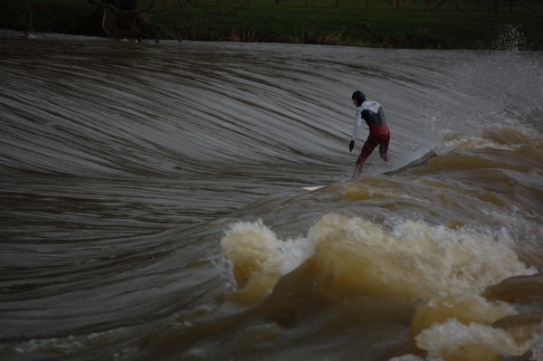 surf