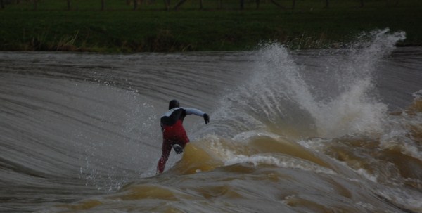 surf