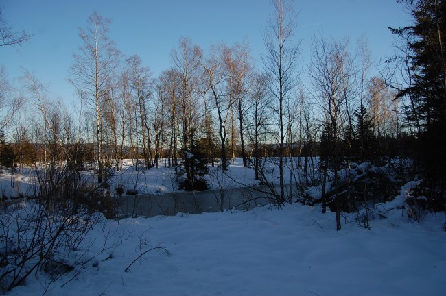 frasne