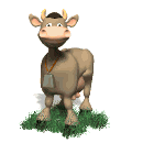 vache